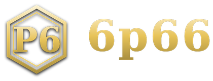 6p66 logo